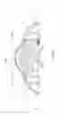 Fig. 08 - Child motion apparatus