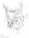 Fig. 17 - Child motion apparatus