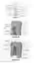 Fig. 06 - Device for counting and dispensing objects
