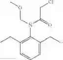 Fig. 129 - Treatment of viral infections by modulation of host cell metabolic pathways