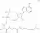 Fig. 163 - Treatment of viral infections by modulation of host cell metabolic pathways