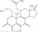 Fig. 199 - Treatment of viral infections by modulation of host cell metabolic pathways