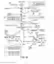 Fig. 21 - Treatment of viral infections by modulation of host cell metabolic pathways