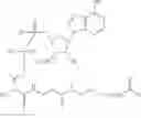 Fig. 217 - Treatment of viral infections by modulation of host cell metabolic pathways