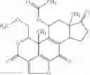 Fig. 253 - Treatment of viral infections by modulation of host cell metabolic pathways