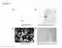 Fig. 05 - CARDIAC TISSUE-DERIVED CELLS