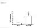 Fig. 15 - CARDIAC TISSUE-DERIVED CELLS
