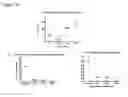 Fig. 27 - CARDIAC TISSUE-DERIVED CELLS