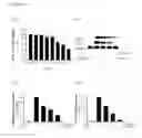 Fig. 02 - Use of peptide for alleviating pain