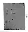 Fig. 09 - METHOD TO INDUCE NEOVASCULAR FORMATION AND TISSUE REGENERATION