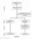 Fig. 05 - FUSION PROTEINS COMPRISING FACTOR IX FOR PROPHYLACTIC TREATMENT OF HEMOPHILIA AND METHODS THEREOF