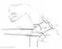 Fig. 01 - Method and apparatus for applying neuromuscular electrical stimulation
