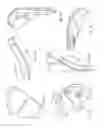Fig. 06 - Apparatuses and methods for neuromodulation
