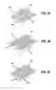 Fig. 06 - SYSTEM, APPARATUS AND METHOD FOR POST-MOLDING INSERTION OF ELECTRICAL CONTACTS