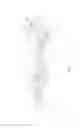 Fig. 06 - Multi-rotor flying object