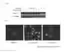 Fig. 02 - Pyrimido-diazepinone kinase scaffold compounds and methods of treating disorders