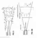 Fig. 12 - Dispersing feedstocks and processing materials