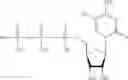 Fig. 320 - MODIFIED NUCLEIC ACID MOLECULES AND USES THEREOF