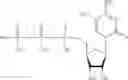 Fig. 331 - MODIFIED NUCLEIC ACID MOLECULES AND USES THEREOF
