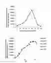 Fig. 06 - METHOD FOR PRODUCING PHENYL PROPANE-BASED COMPOUNDS USING ENZYMES