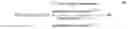Fig. 02 - Antibody composition-producing cell