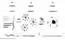 Fig. 01 - Systems and devices for protease detection based on engineered polymers and biopolymers and methods of use