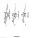 Fig. 13 - Detection of nucleic acids