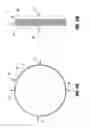 Fig. 26 - Floor drain assembly and method