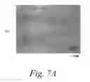 Fig. 09 - Sliding mechanism