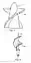 Fig. 04 - COMPRESSIBLE ROTOR FOR A FLUID PUMP