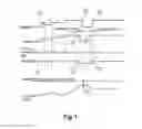 Fig. 02 - Device and method for controlling an automatic transmission during cornering