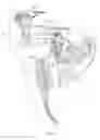Fig. 03 - Roller tool for use in applying adhesive sheet material to surfaces