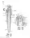 Fig. 07 - AMMUNITION MAGAZINE CONFIGURED FOR AUTOMATIC EJECTION