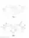 Fig. 02 - Glasses with prismatic lenses