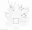 Fig. 04 - Touch panel and display device