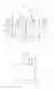 Fig. 20 - Semiconductor device having an inactive-fin