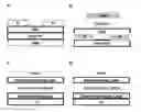 Fig. 01 - Phenazine-Based Molecular and Polymeric Semiconductors