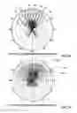 Fig. 08 - Orthogonal-beam-space spatial multiplexing radio communication system and associated antenna array