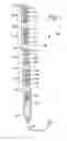 Fig. 02 - VERTICAL-MOUNT ELECTRICAL POWER DISTRIBUTION PLUGSTRIP