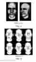 Fig. 04 - Hybrid visual communication