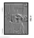 Fig. 09 - Methods and systems for classifying pixels as foreground using both short-range depth data and long-range depth data