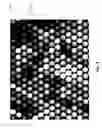 Fig. 05 - Capturing light-field images with uneven and/or incomplete angular sampling