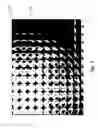 Fig. 07 - Capturing light-field images with uneven and/or incomplete angular sampling