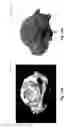 Fig. 14 - Capturing light-field images with uneven and/or incomplete angular sampling