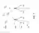 Fig. 02 - Cellular network synchronization methods and apparatus under separation architecture