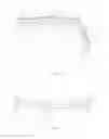 Fig. 02 - Curved display device