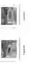 Fig. 06 - Cabinet for electronic equipment