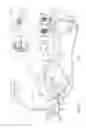 Fig. 02 - REGISTRATION OF CORONARY SINUS CATHETER IMAGE