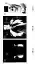 Fig. 02 - MECHANICALLY DRIVEN ULTRASOUND SCANNING SYSTEM AND METHOD