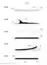 Fig. 06 - SYSTEMS, METHODS, AND DEVICES FOR ASSESSING MICROBIOTA OF SKIN